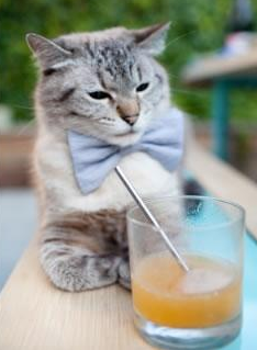 _红土王者归来：马德里大师赛精彩纷呈_，马德里大师赛蓝土