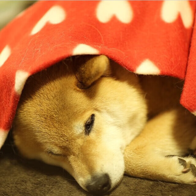 九游网页版入口-《数字化营销新策略：电竞赛事中的创意推广案例》，电竞 产业数字化 数字产业化