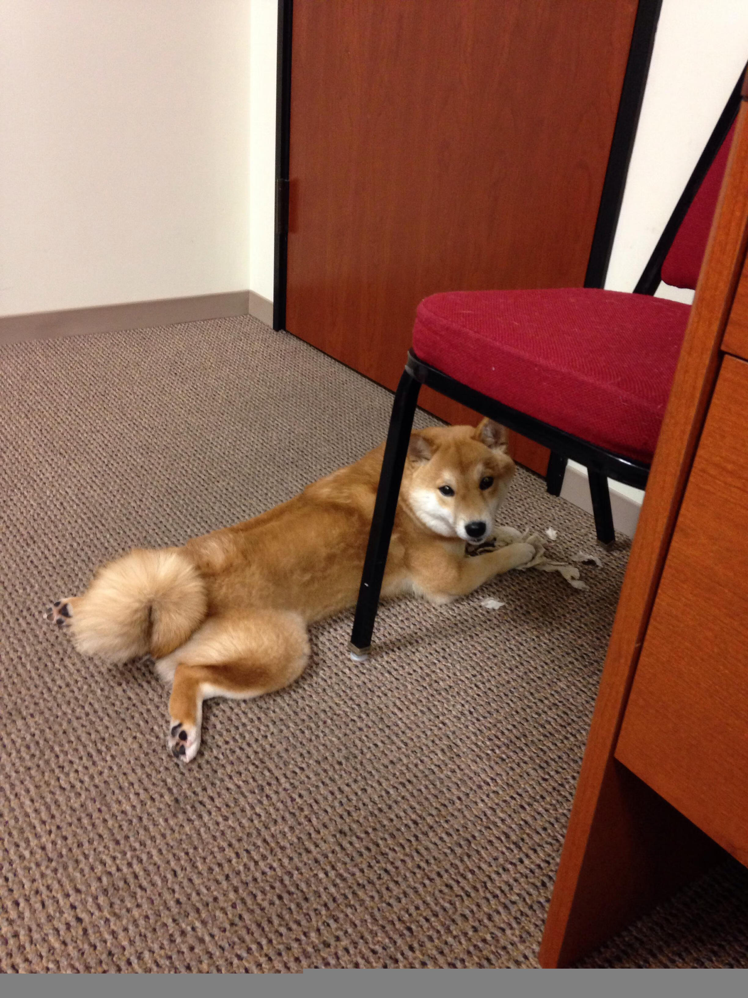 九游app下载中心-《电子竞技的“软实力”：团队精神与心理素质培养》，电子竞技与团队合作