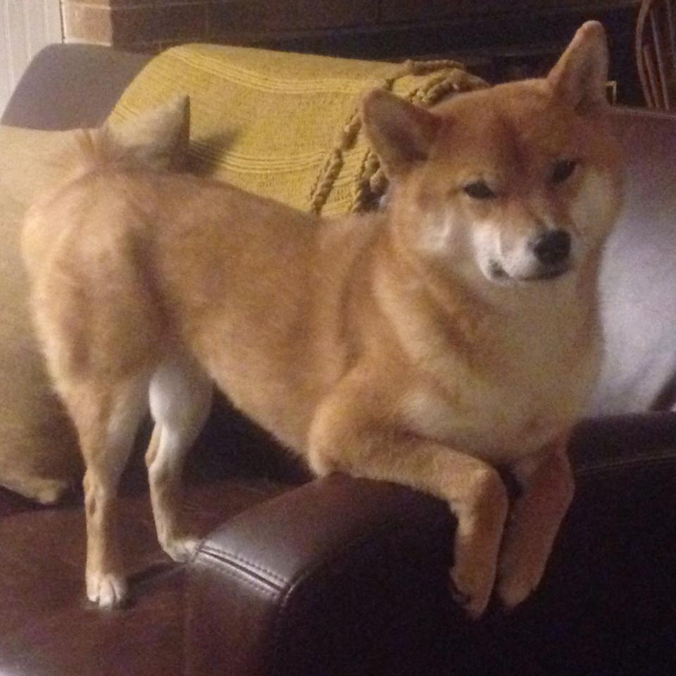 九游-国际足联官宣世界杯扩军至48支球队，世界杯 扩军