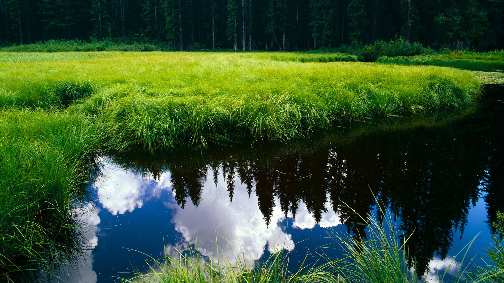 德国羽毛球选手在比赛中展现出顽强拼搏精神,德国羽毛球主教练