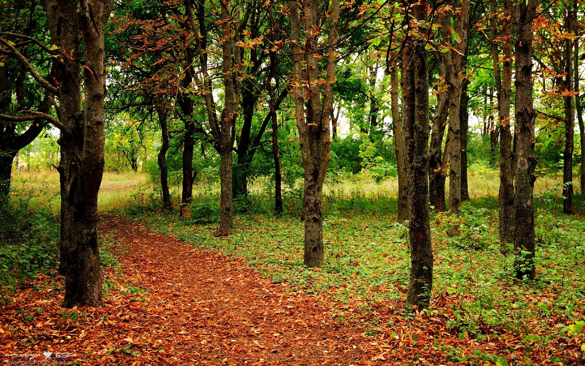 库里:在“长距离”战场上,成为最难防守的“射手”!,库里防守什么水平