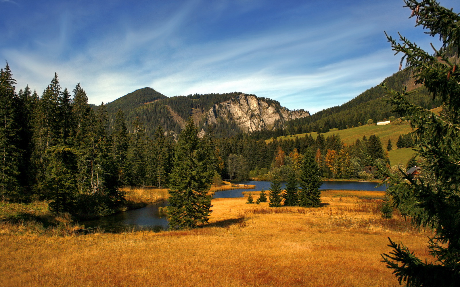 库里:在“长距离”战场上,成为最难防守的“射手”!,库里防守什么水平