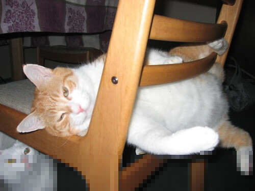 九游sports-未来“欧洲霸主”潜力股：谁能一统天下？，欧洲未来预测