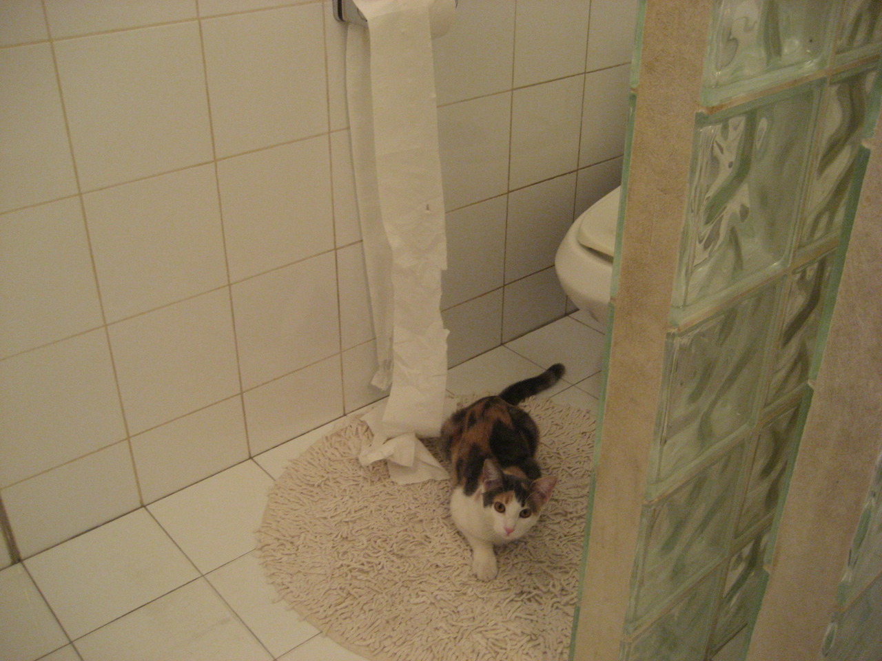 球员“多重身份”爆料:他们在公益、商业、娱乐中的精彩表现,球员多多