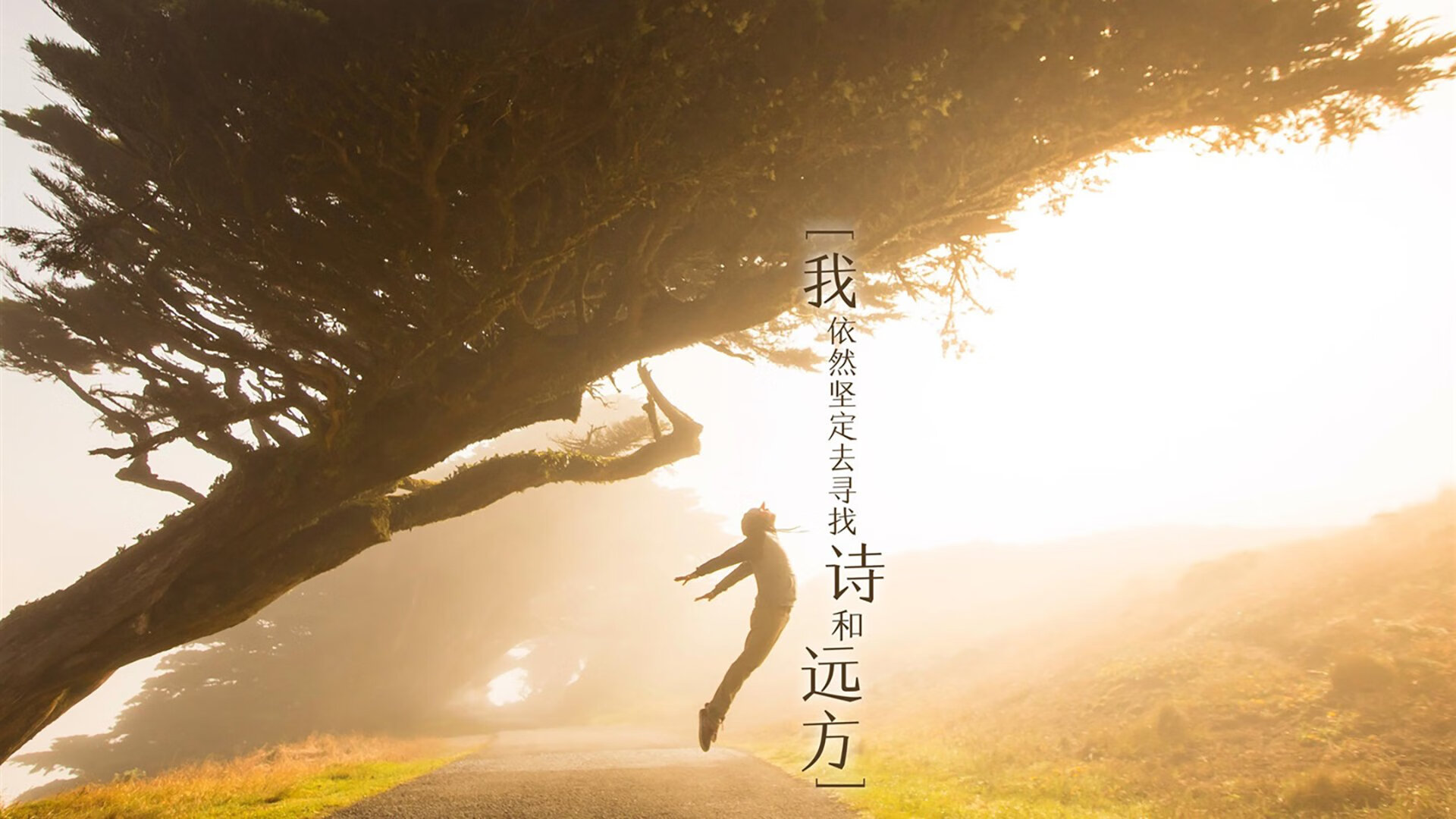 穿越火线 赛季中期战况白热化,穿越火线比赛服最新白名单