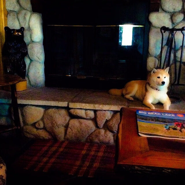 九游下载中心-超高人气主播的幕后故事，揭秘他们走红的真相，超高人气主播的幕后故事,揭秘他们走红的真相