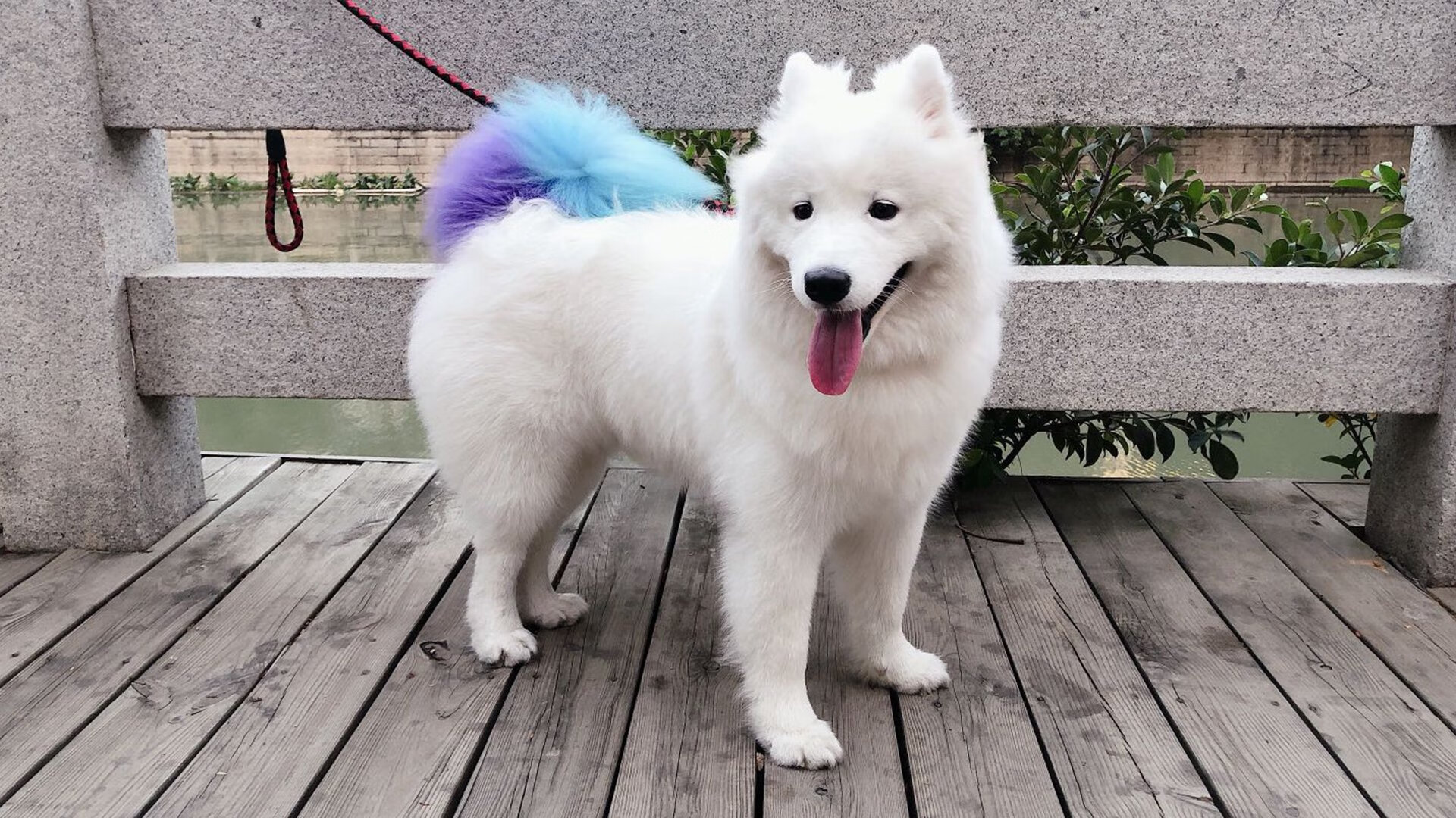 九游(jiuyou)官方网站-DOTA 2新版本英雄调整解析，dota2新出的英雄人物