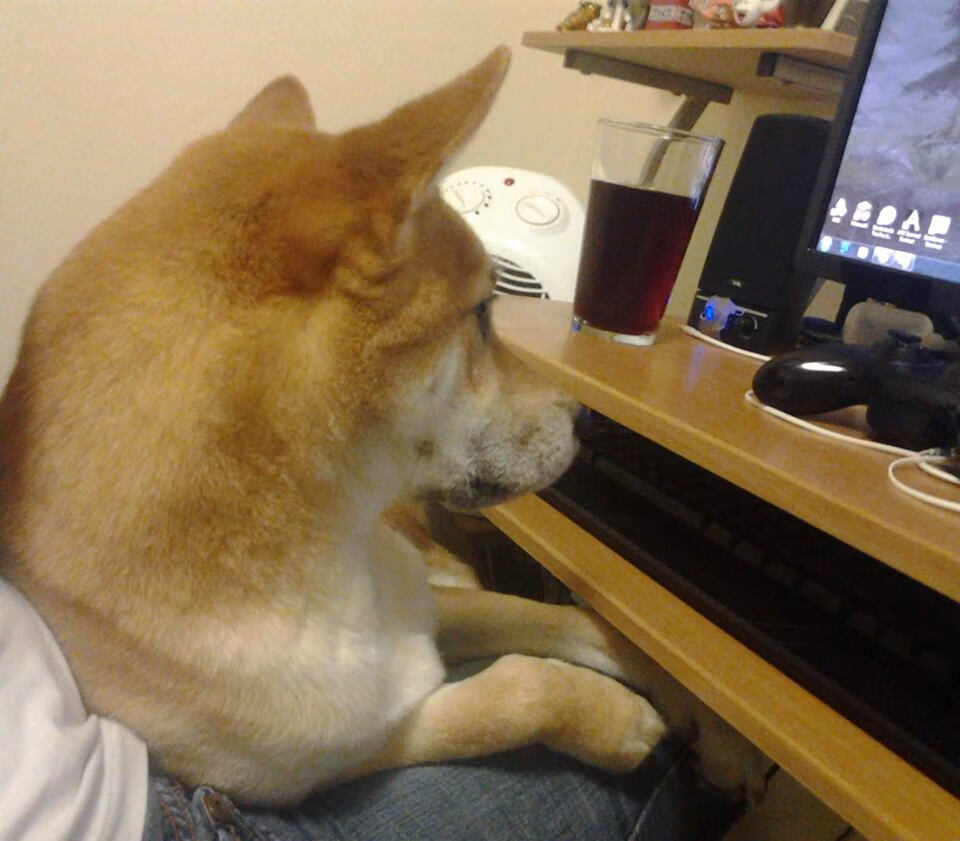 九游APP官网-同曦队新秀球员战术执行力强，同曦队新秀球员战术执行力强吗