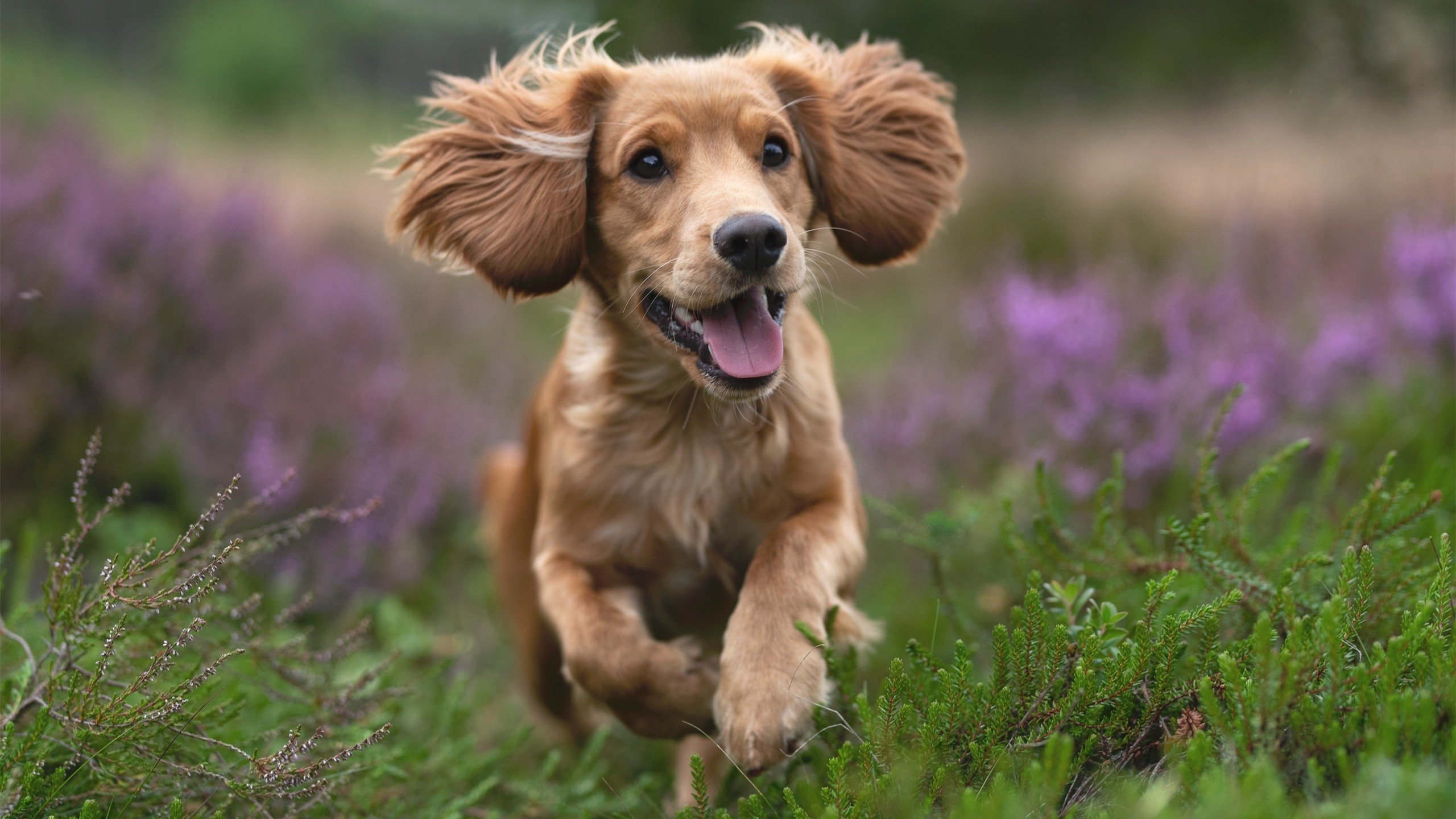 堡垒之夜获评年度影响力游戏，堡垒之夜最新联动