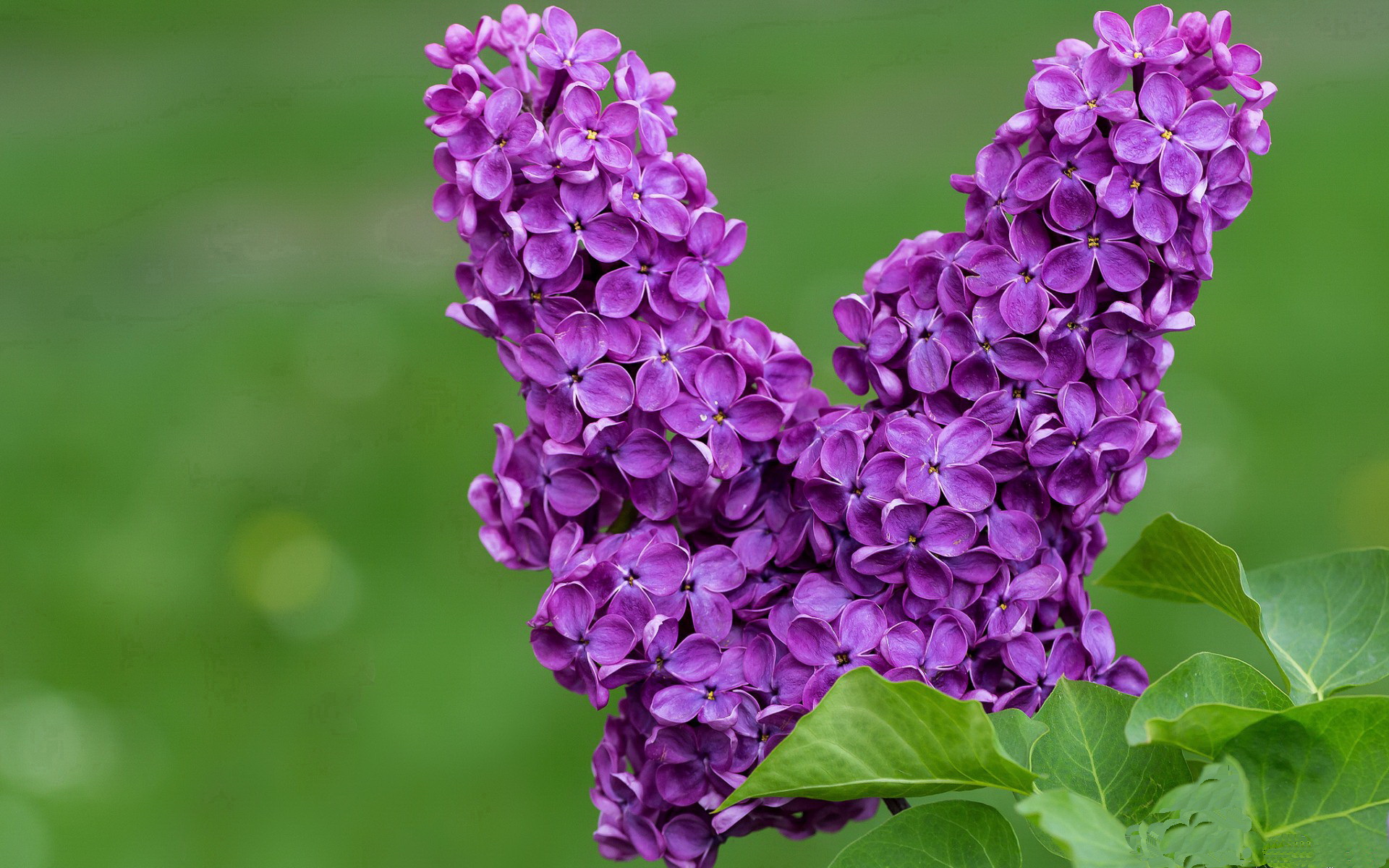 九游9游-堡垒之夜上线NBA球星皮肤，堡垒之夜上线nba球星皮肤怎么获得