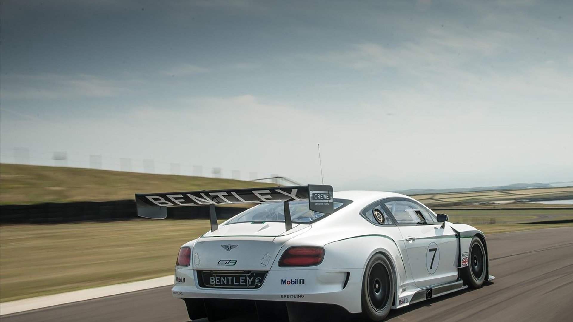 土耳其队在国际赛场上崭露头角,一路高歌,土耳其队员