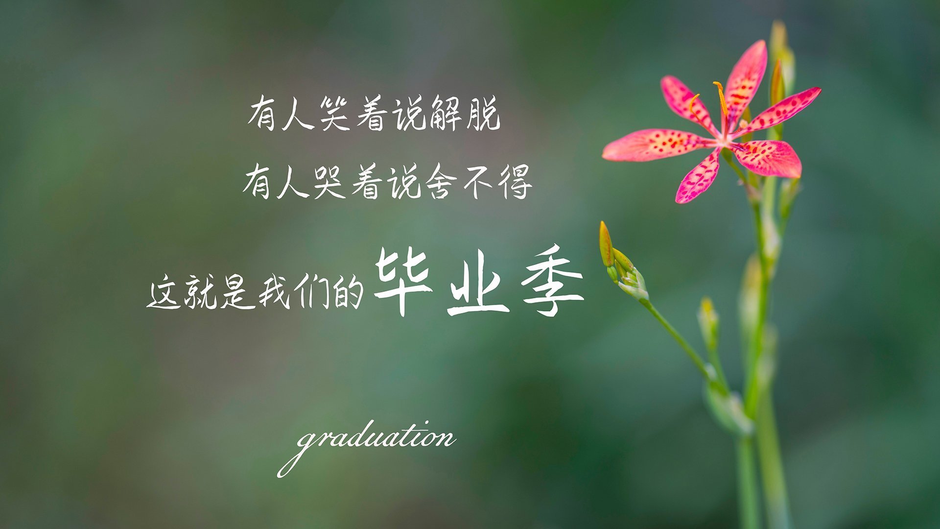 巴黎勇夺里昂,跃至积分榜榜首之上,巴黎vs里昂全场回放