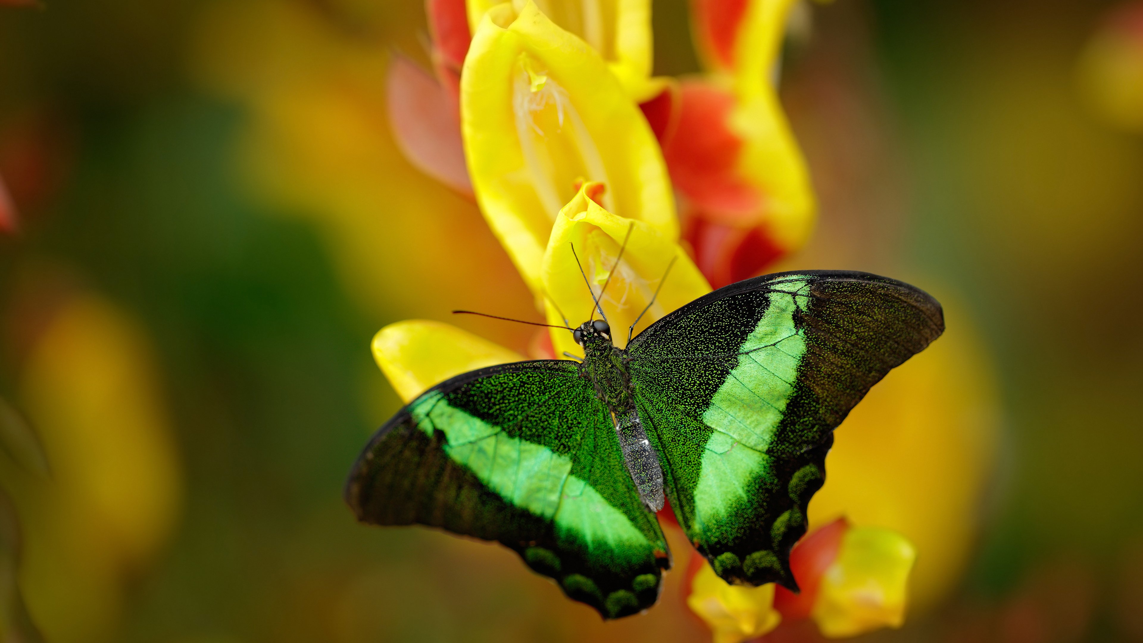 比利亚雷亚尔客场不敌埃瓦尔，遭遇失利，比利亚雷对埃瓦尔