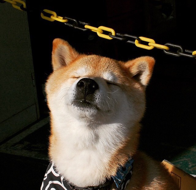 比赛垃圾时间是否应有管理机制,比赛前垃圾话