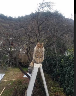 毕尔巴鄂竞技客场0-3不敌皇家马德里，遭遇失利，毕尔巴鄂竞技b队