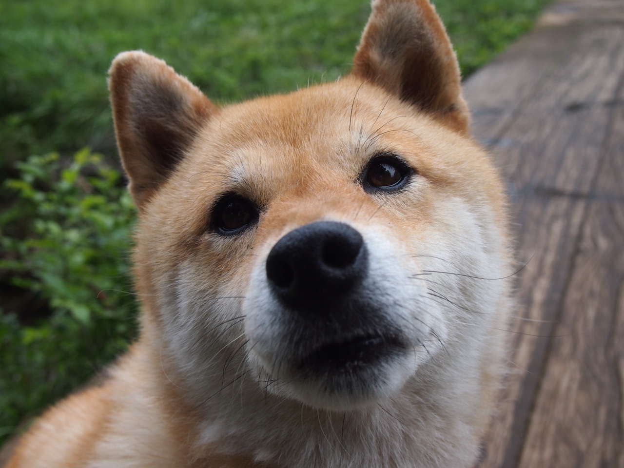 NBA球队赛事直播互动技术创新，nba赛事直播平台