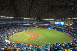 九游网页版官网入口-世界击剑锦标赛中国女花首次进四强，击剑世界冠军女