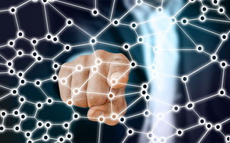 九游官网下载电脑版-中国篮球职业联赛市场竞争策略分析，我国篮球职业联赛