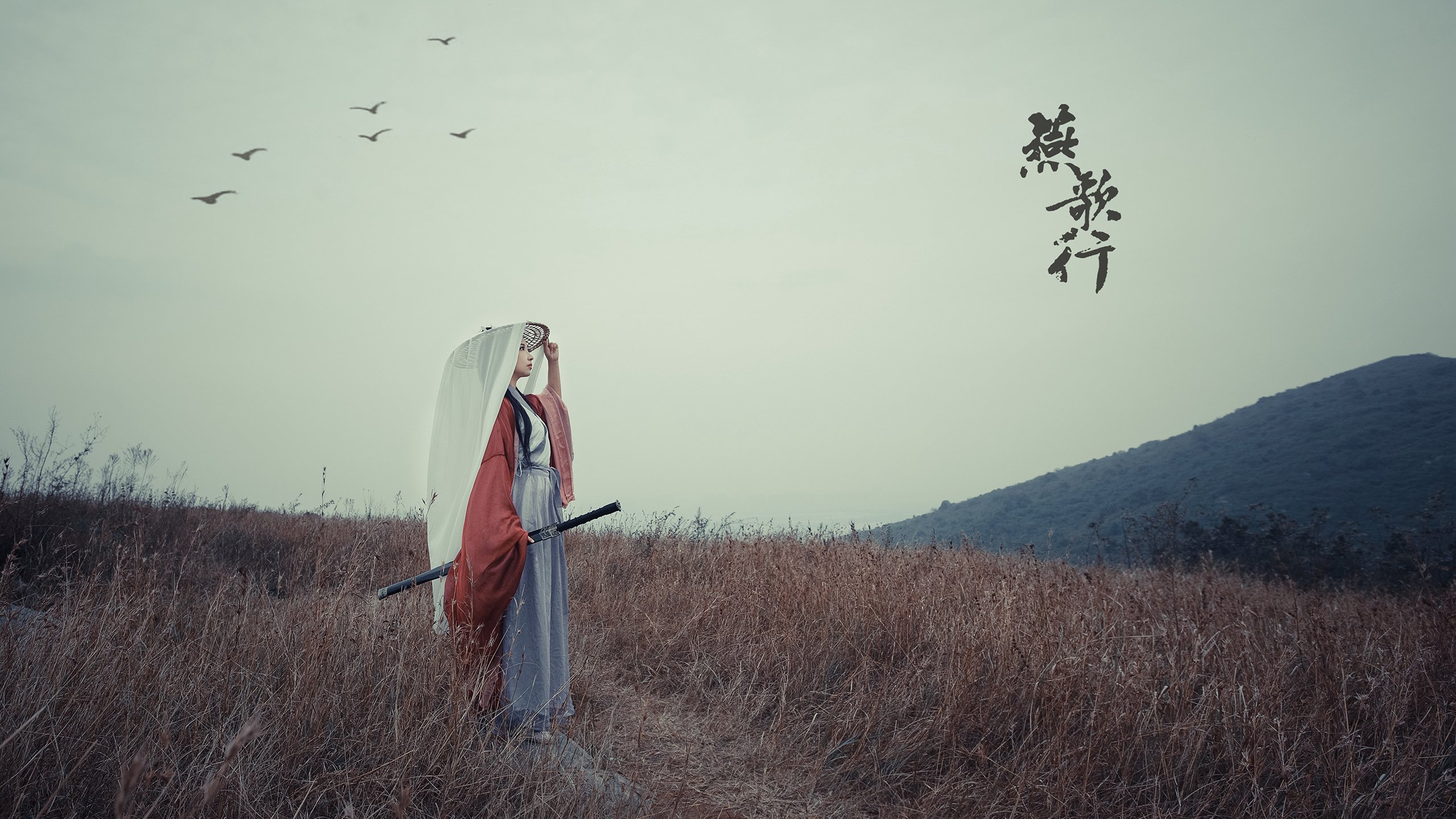 智能体育场馆预约系统设计与用户体验分析,体育馆场地预约管理系统代码设计