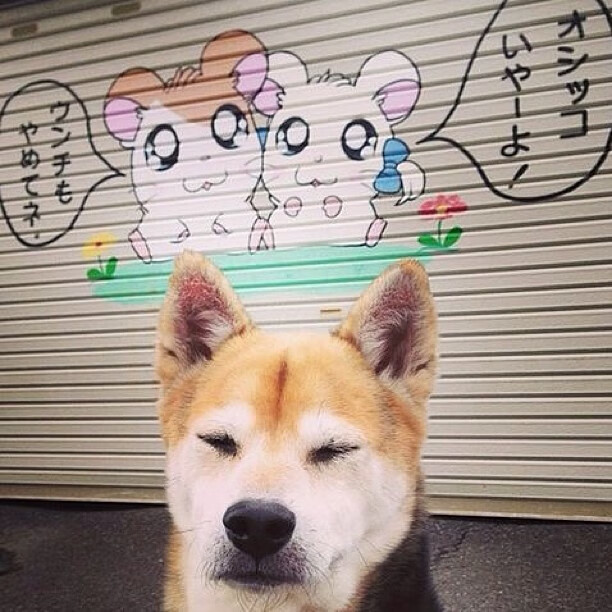 国际热身赛中国青年队爆冷 球迷反思训练方法,国家队热身赛