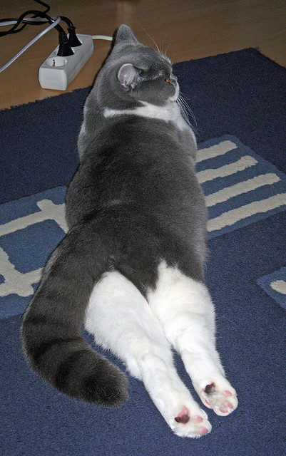 基层足球与地方教育系统脱节严重，基层足球与地方教育系统脱节严重吗