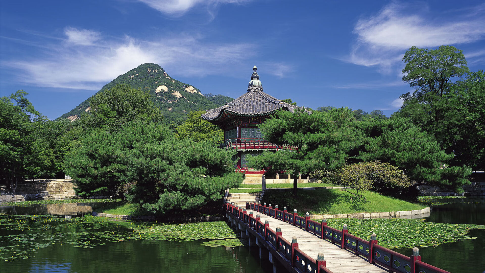 德国女队混合泳决赛排名第六,德国女单选手