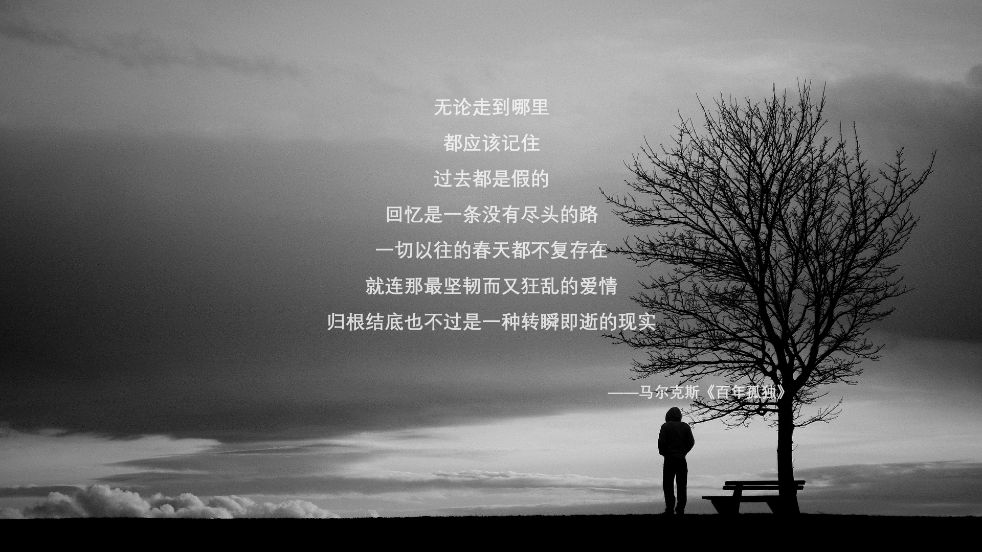 教练资源流动机制实现联赛互通,教练技术流派