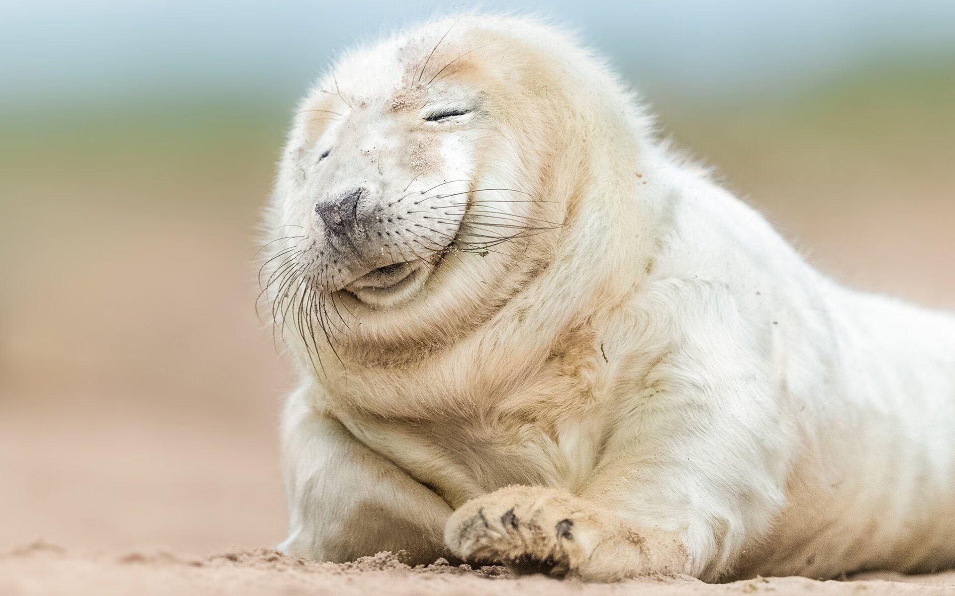 凯蒂·莱德基冲线时刻引爆现场欢呼,凯蒂莱德基训练方案