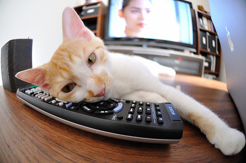 湖人新人训练中积极沟通迅速建立场上默契，湖人队的训练场